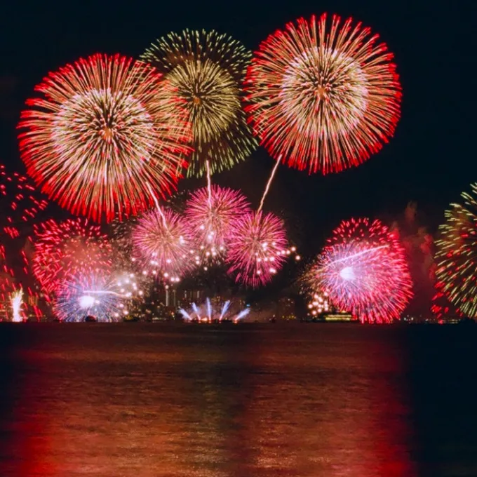 fireworks in the sky